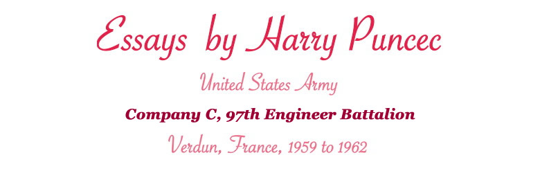 Essays by Harry Puncec graphic