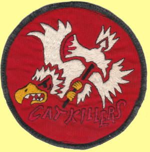 220th Aviation Company party suit patch, courtesy of Dick Wells