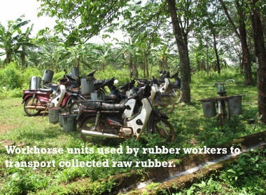 Motorcycles used to transport collected raw rubber