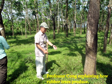 Vietnam Battlefield Tours, Con Thien Combat Base