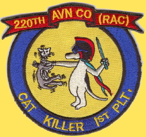 1st Platoon Patch, 220th RAC
