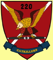 Intermittent Catkillers Patch, 220th Avn Co, 1969-71